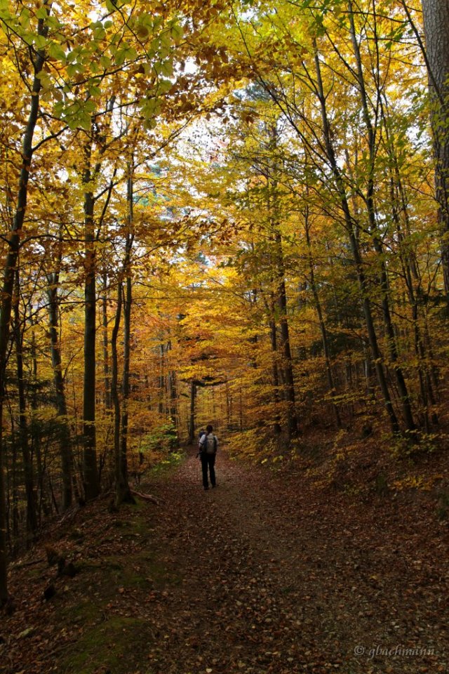 20101030_290
